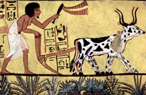 Lire la suite à propos de l’article L’agriculture familiale, plus rationnelle et plus responsable ? [NL48]