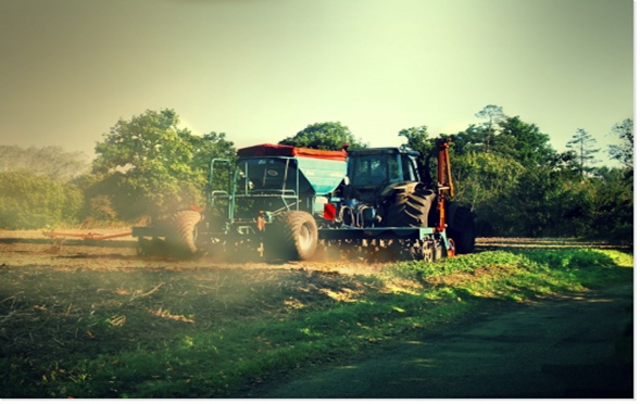 agriculture